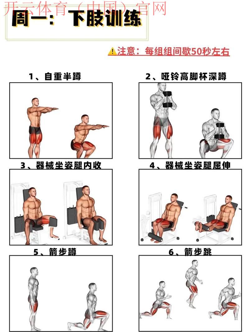 云体育app，解锁个性化健身训练计划