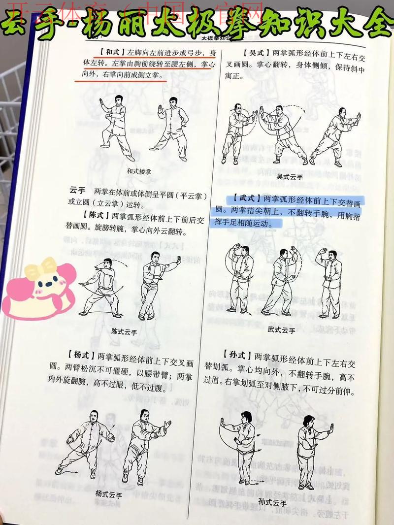 开云体育登入, 专业教程手把手教你实操